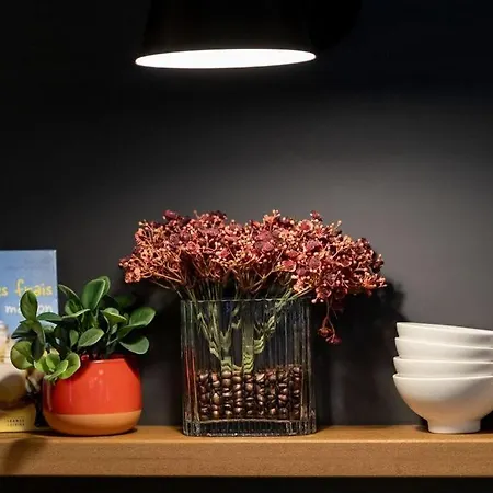 Hotel Ibis Centre Notre Dame 3*