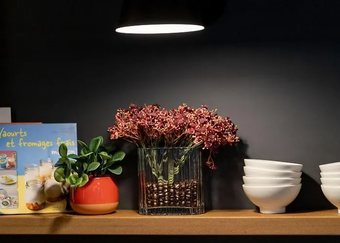 ホテル イビス サントル ノートル ダム 3*